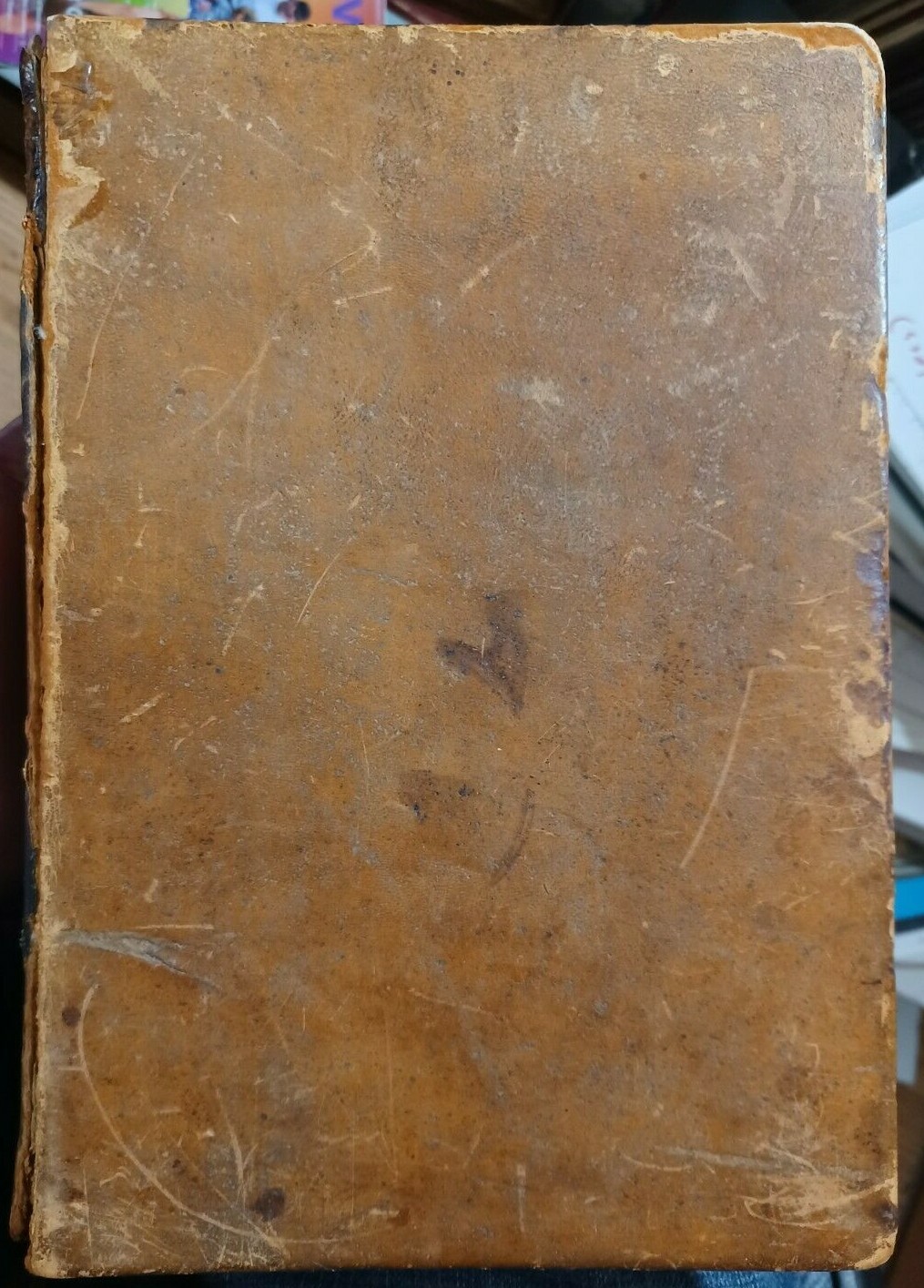 Foto 1 di 11