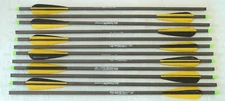 20" Crossbow Bolts 100% Carbon Parabolic Super Fast Weight Sorted Archery Qty 12