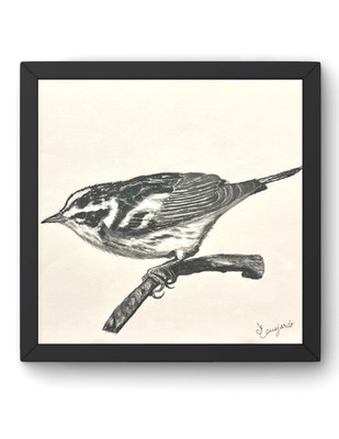 GUAJARDO Original Sketch Bird Study-4 10X10 Paper Signed Art