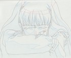 The Twelve Kingdoms Juuni Kokki Genga Douga Original Sketches Pierrot - Youko — photo 9