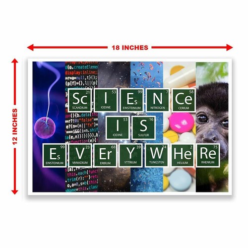 CLASSROOM POSTER SCIENCE MATH ENGLISH TEACHERS ELEMENTARY SCHOOL HIGH SCHOOLS - Picture 23 of 29