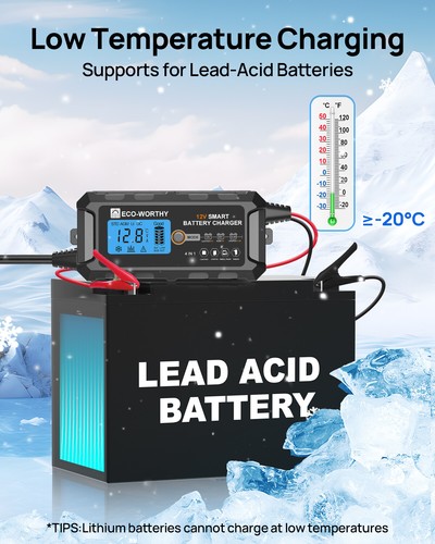 ECO-WORTHY 5A 10A 20A 12V LiFePO4 Lithium Battery Charger AC to DC Smart Charger - Picture 24 of 34