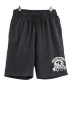 Big Boys Shorts Sonic The Hedgehog Big Boys Shorts Size 18 Dark Gray