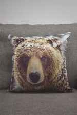 Big Bear Filled Cushion 43X43 Multi