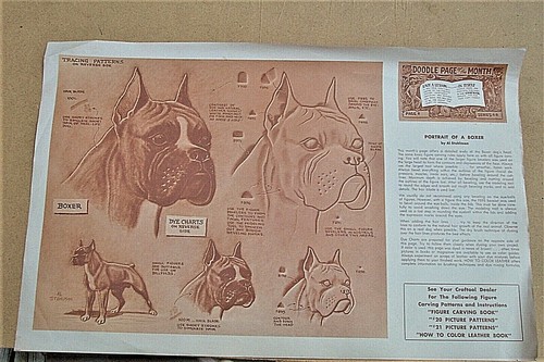 VTG DOODLE PAGE PORTRAIT of a BOXER by AL STOHLMAN Page 8, Series 4-B