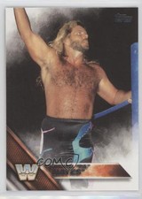 2016 Topps WWE Then Now Forever Michael Hayes #182 0ad