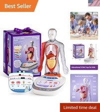 Fun and Engaging 11-Inch Human Anatomy Model ...