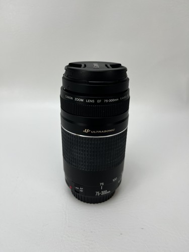 Canon Zoomobjektiv EF 75-300mm 1:4-5.6 lll Ultrasonic