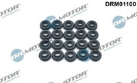Dr.Motor Automotive DRM01100 Dichtung, Zylinderkopfhaubenschrauben FüR Opel
