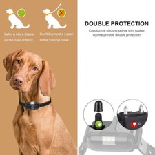 Collares Para Perro Personalizados Collar Perro Reflectante Personalizado - Neopreno Acolchado | Seguridad Noche Paseo Accesorio Seguridad Perro
