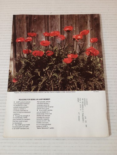 Modern Maturity Magazine April May 1982 The Magic Of Josef Muench - Picture 5 of 17