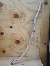 30" sanded natural Manzanita Branch reptile bird terrarium 126