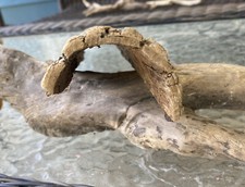 Driftwood, Branch, Reptile, Perch, Aquarium, Habitat, Decor Snake Hollow Log