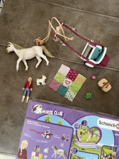 Schleich Horse Club mit Pferd Kutsche & Figur 42467 Set nicht vollständig