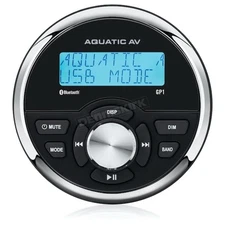 Aquatic AV GP1 Gauge Stereo RA611