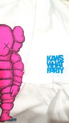 KAWS x Brooklyn Museum 