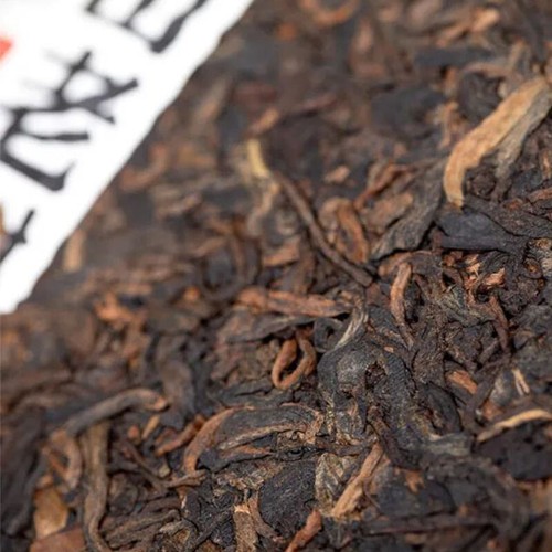 Haiwan 2023 Shu Puer Batch 231 "Remote Mountain, Old Tree" Ripe Puerh tea 500g - Picture 2 of 3