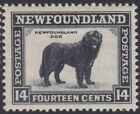 Newfoundland 194 1932 Definitive 14c Intense Black Dog Resources Issue Vf Mph