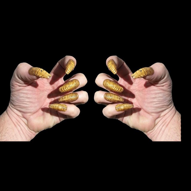 Creepy Claws Fake Claws Werewolf Gremlin Witch Vampire Nails Dental Distortions For Sale Online Ebay