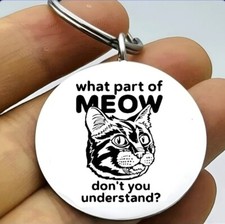 Kitty Cat Hot Funnh Quote Keychain