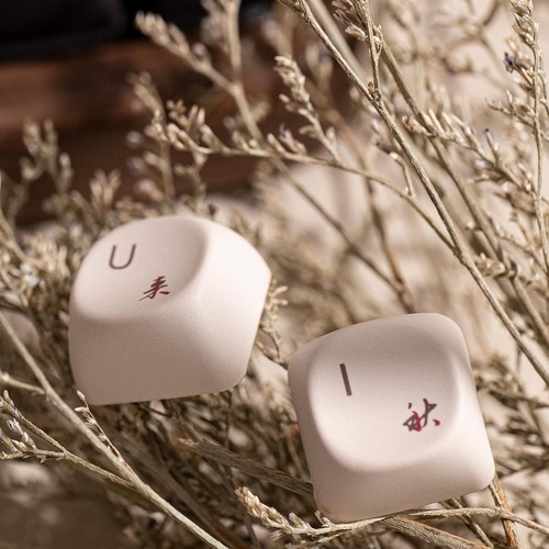 Tranquil Mountain Seclusion PBT Keycap Set – 140 Keys for Mechanical Keyboards - Picture 7 of 9