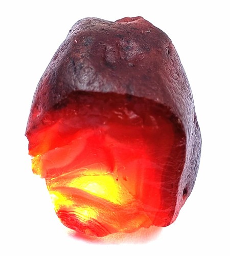 DYED 105 CT NATURAL BROWN AMBER ROCKS AND MINERALS ROUGH EGL CERTIFIED ...