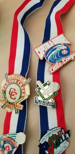 Menge 4 Fußball/Baseball Medaillen mit Bändern + 15 Pins Santa Cruz/Scotts Valley - Bild 9 von 12
