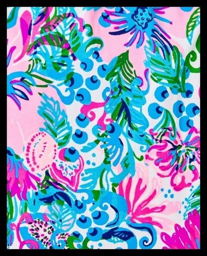 NWT Lilly Pulitzer X-LARGE Parigi Skort Romper Mandevilla Baby Paradise Petals - Picture 3 of 5