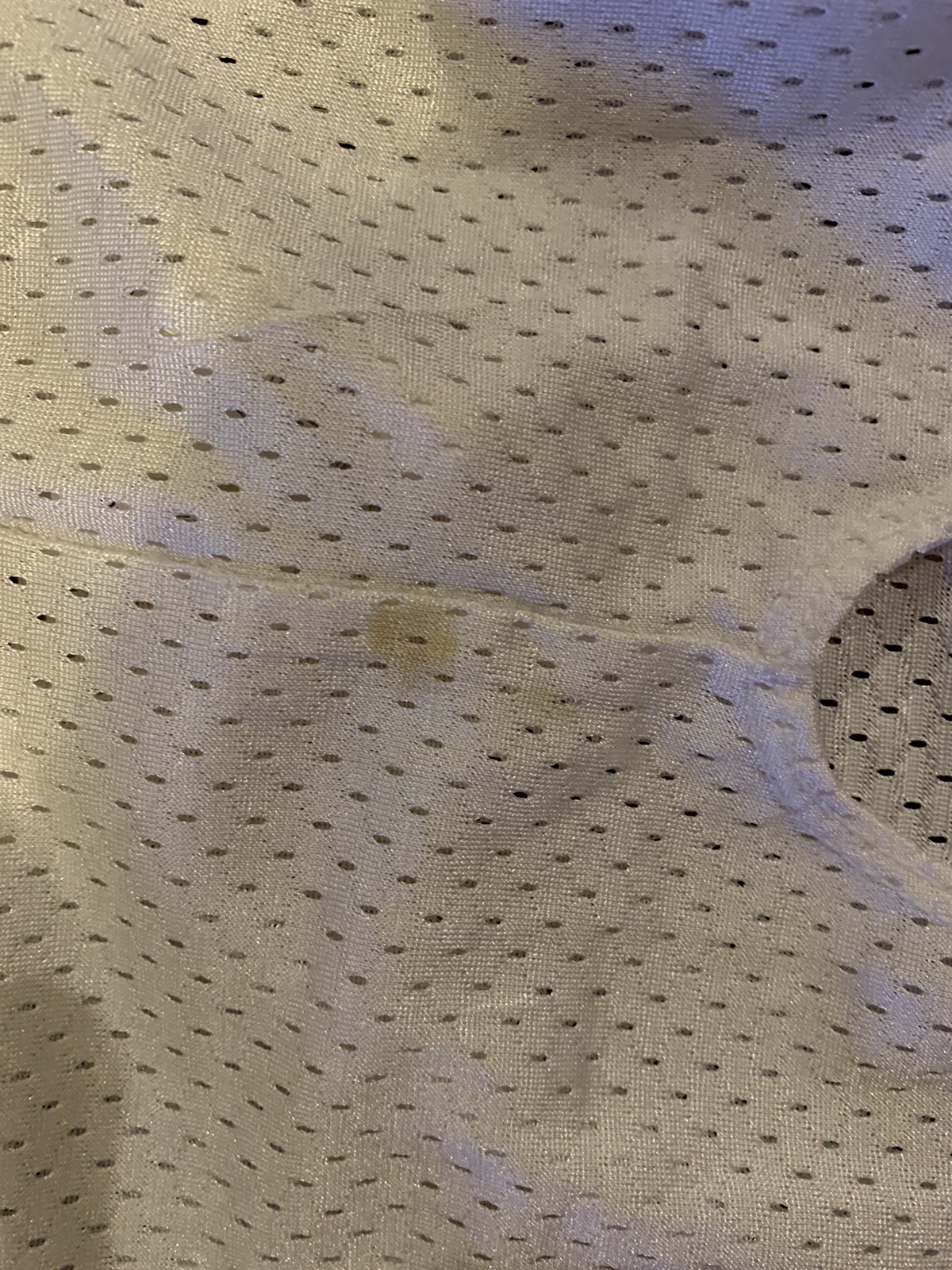 Picture 10 of 10