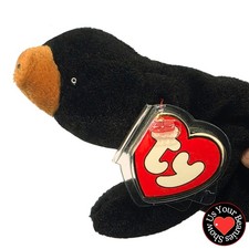 Ty Beanie Baby Blackie The Bear MWMT 3rd Generation Hang Tag 2nd Gen Tush Tag