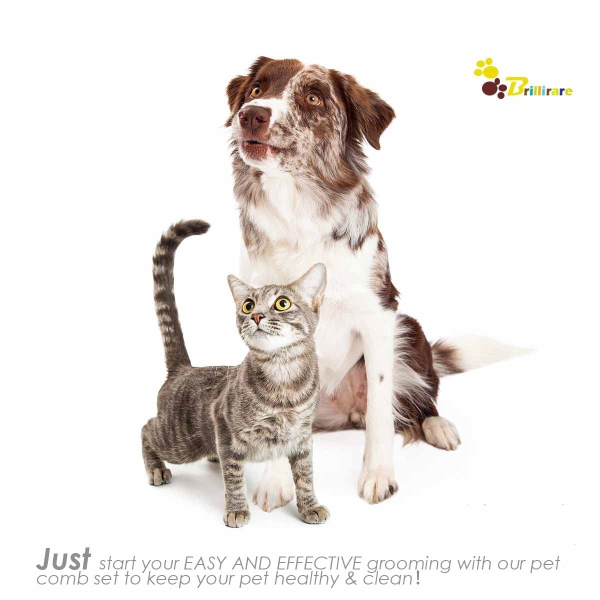 6 Pack Dog Grooming Comb, Pet Flea Lice Stainless Steel Cat Combs with Rounded T