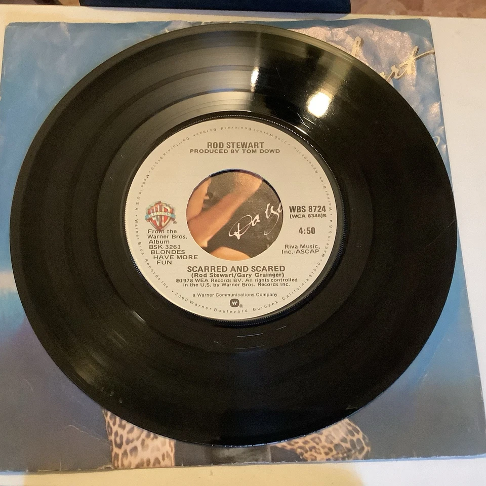 ROD STEWART Da Ya Think I'm Sexy? Single 7" Warner Bros. WBS8724 USA 1978 • Exc+ - Immagine 2 di 4