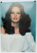 ORIGINAL 1977 JACLYN SMITH Charlie's Angels PRO ARTS POSTER #14-563 - NEAR MINT