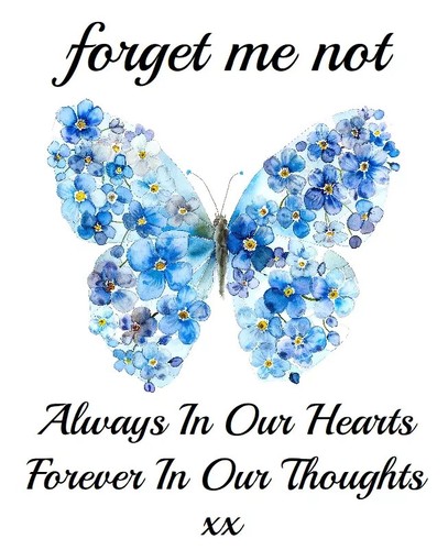 Forget Me Not Funeral Favours Memorial Remembrance Seeds Pack (F8NP) - Picture 2 of 4
