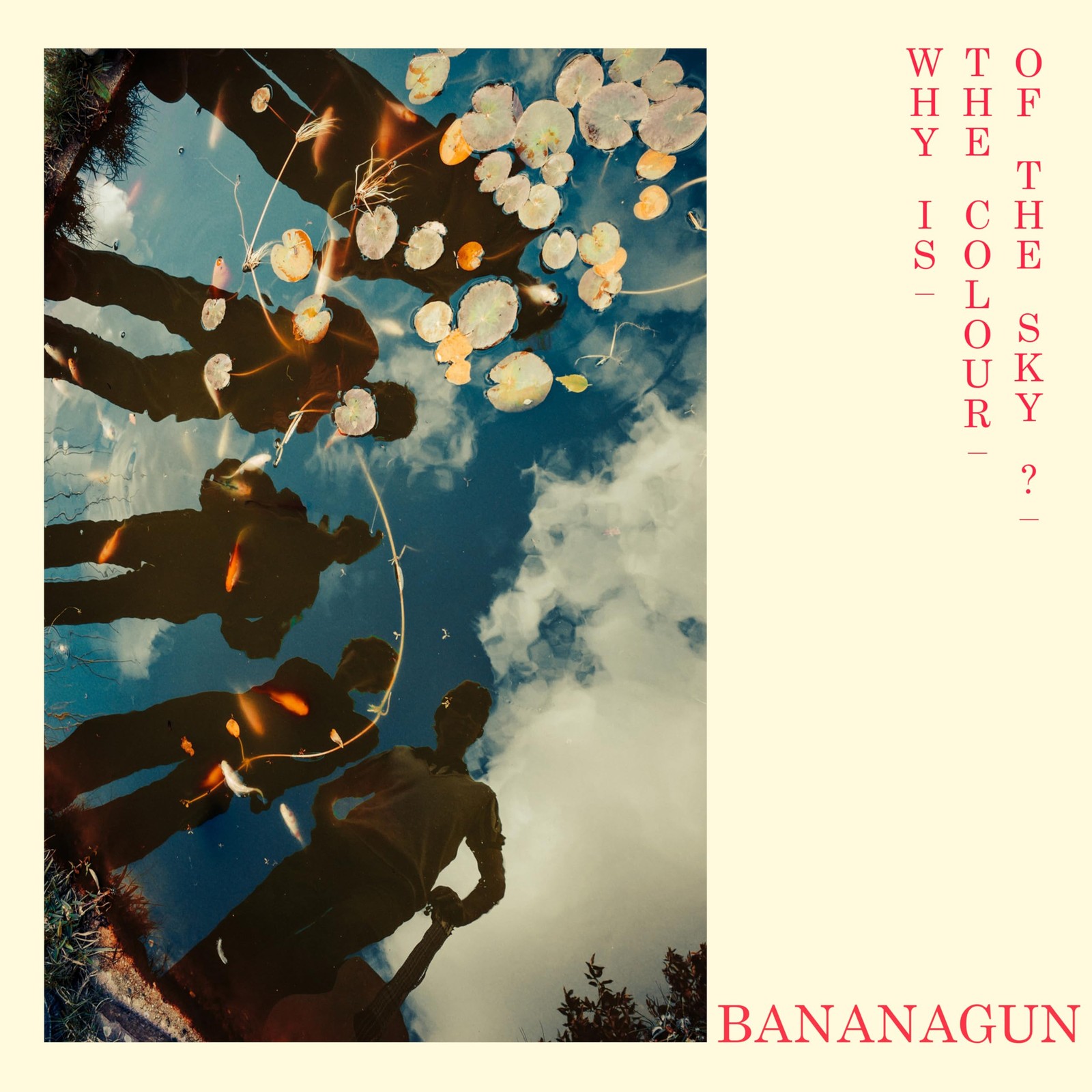 Bananagun Why Is the Colour of the Sky? CD FTH534CD NEW