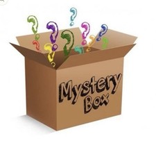 Mystery Resellers Clothing Box Women  -- Vari...