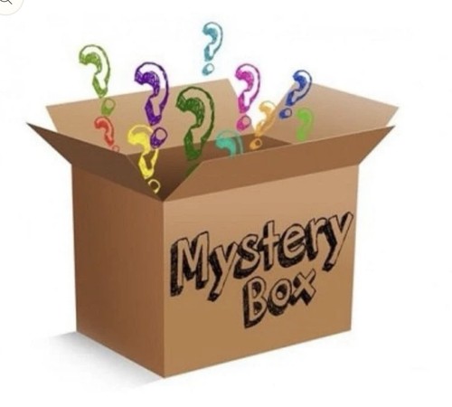 Mystery Resellers Clothing Box Women  -- Various Brands/Sizes 10-20 Items