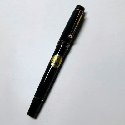 Pilot Ecrino Fountain Pen Unused Long Term Storage Excellent Condition