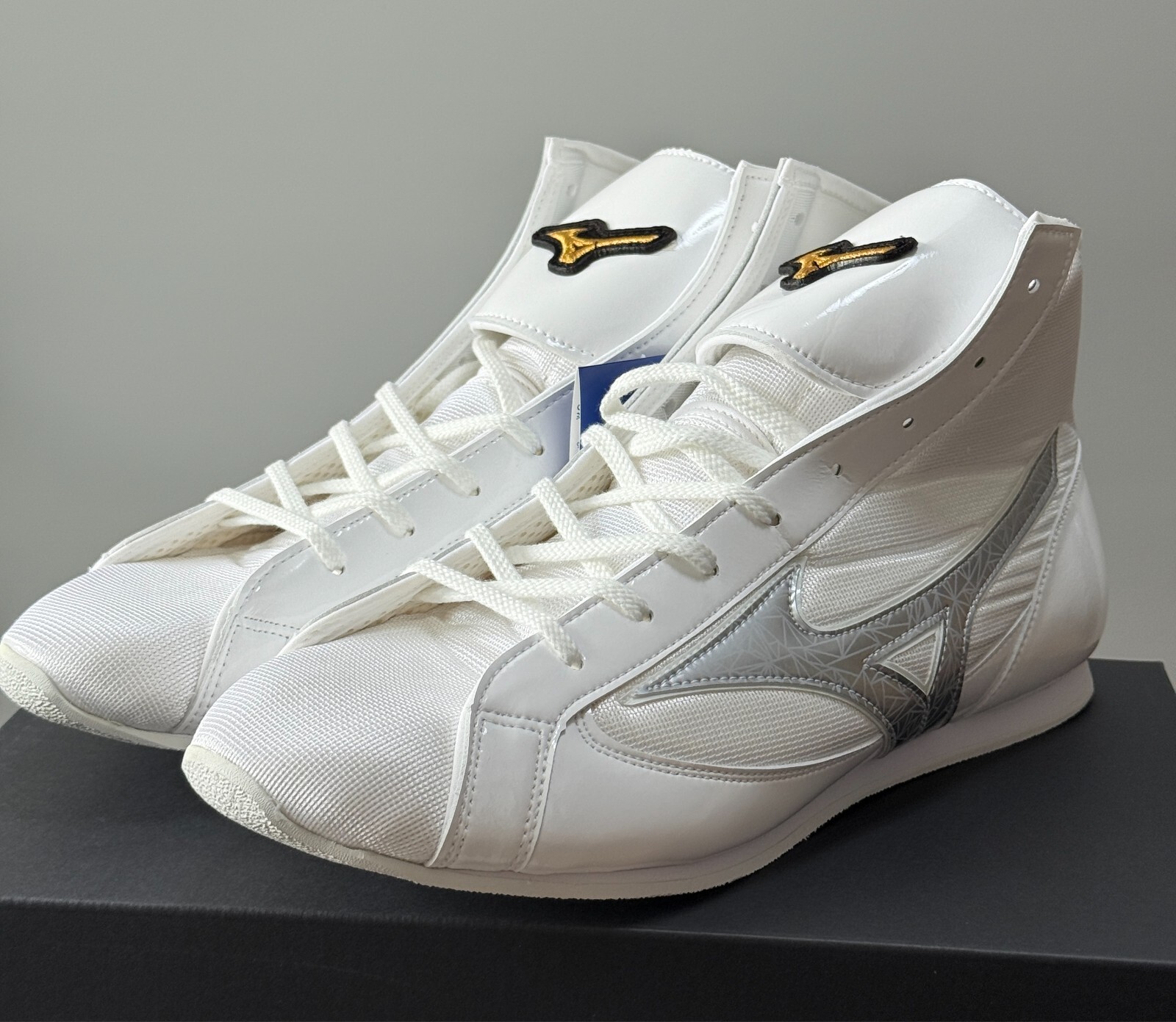 MIZUNO Finisher MID Boxing Shoes 21GA230011 Color: 11 White