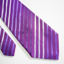 BCBG Attitude Purple Woven Striped Silk Tie