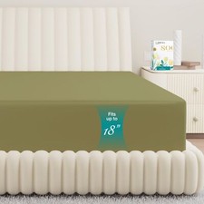 100 Egyptian Cotton Twin Fitted Sheet Only - 800 Thread Count 16" Deep Pocke...