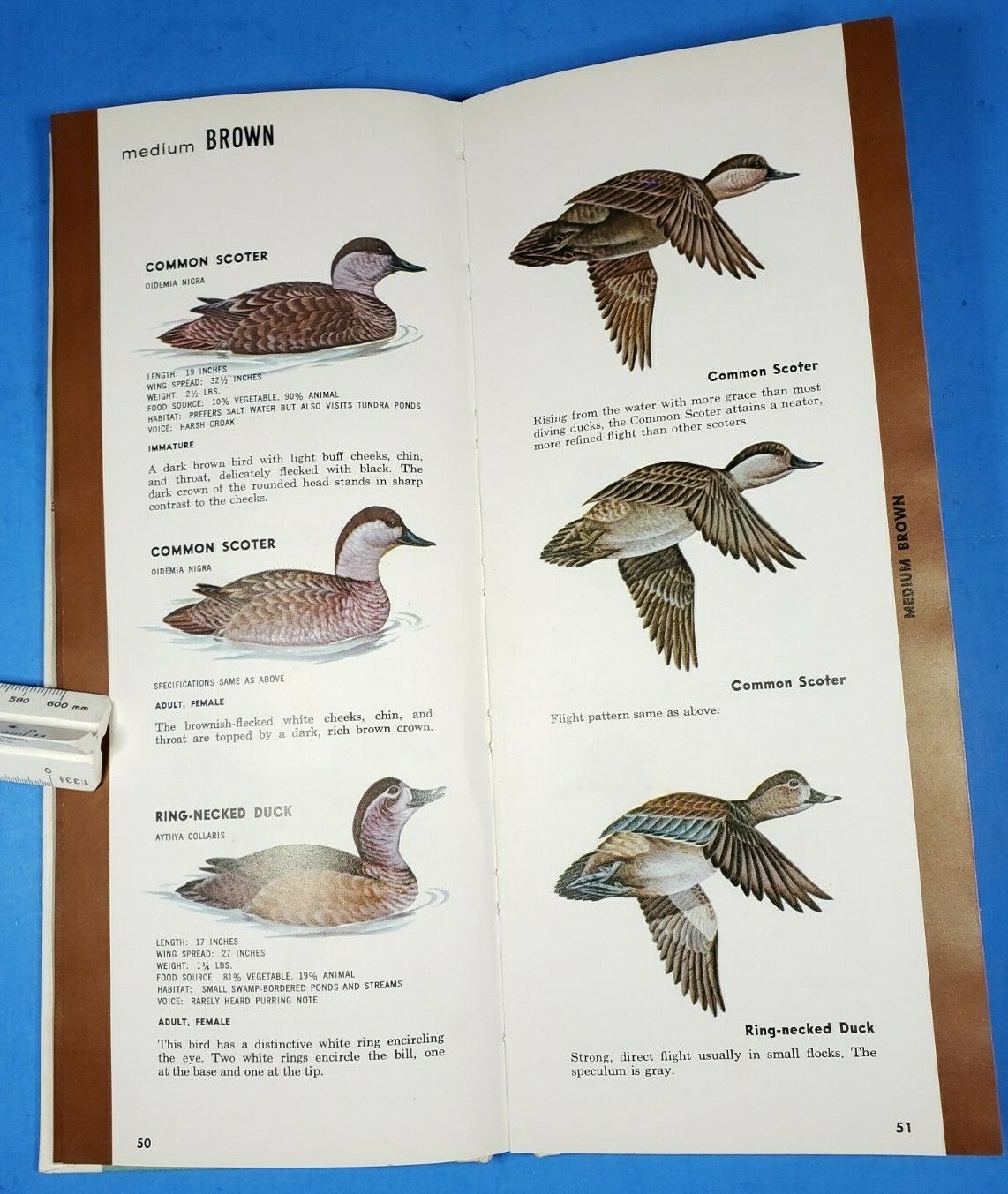 Picture 5 of 9