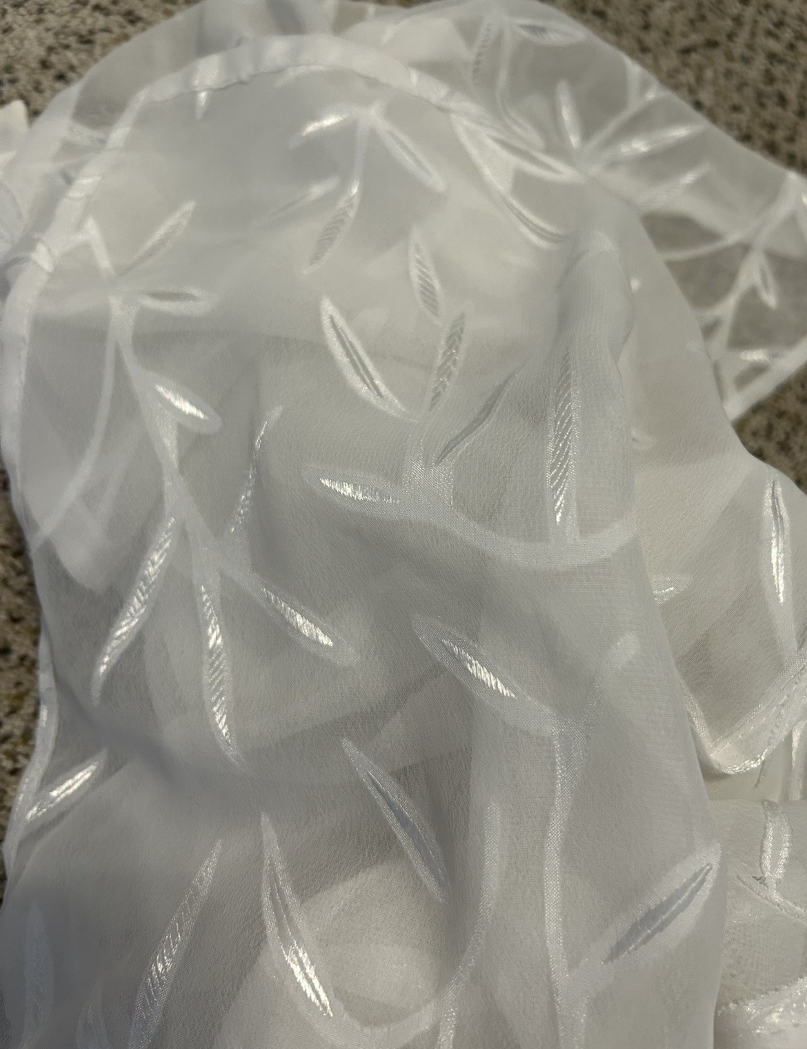 Button Down - image 5