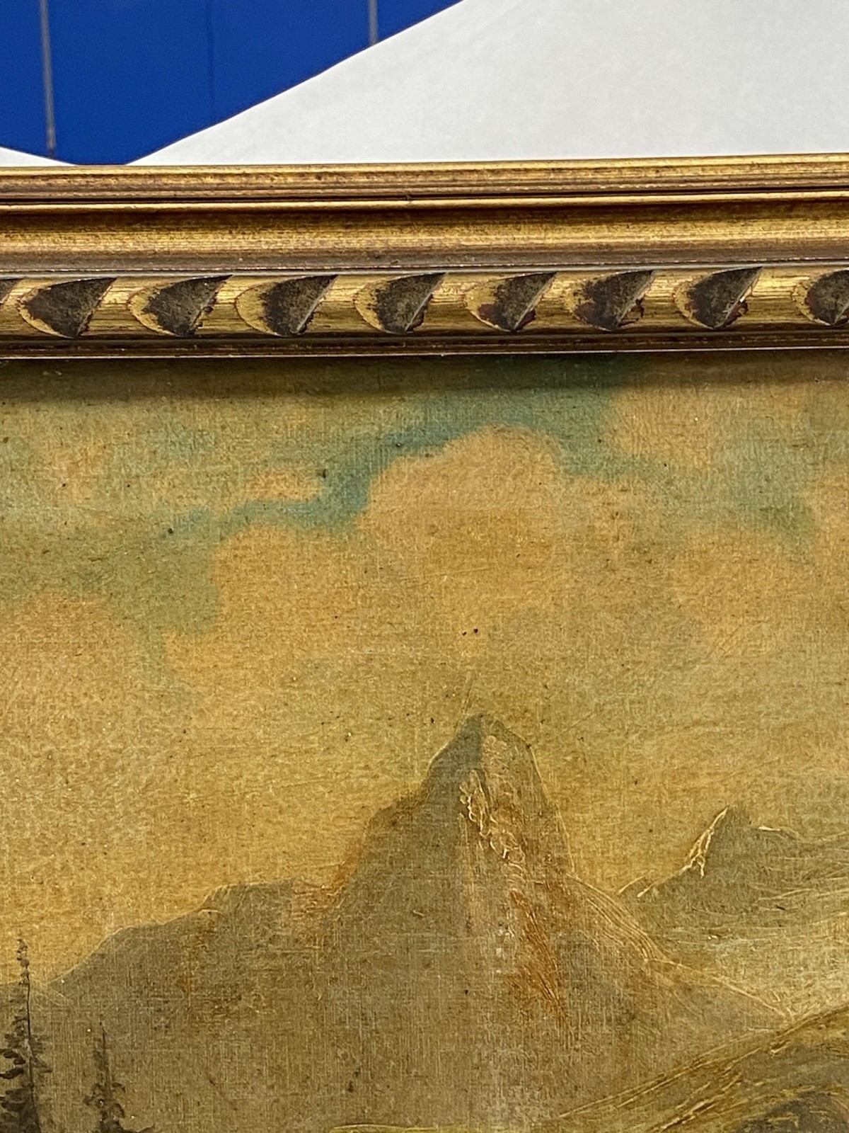 Picture 8 of 20