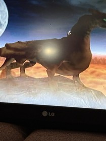 Dragon Riders: Chronicles of Pern (Sega Dreamcast) CIB Replaced Case Auth Tested