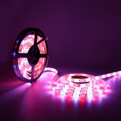 5M RGBW+Cool White 5050 LED Strip Light for Room Garden Party Outdoor Waterproof