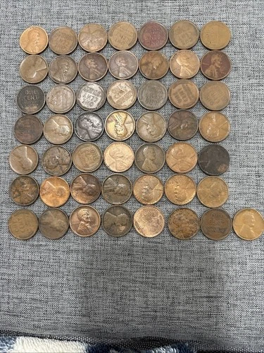 Roll Of (50) 1909 VDB Lincoln Cents