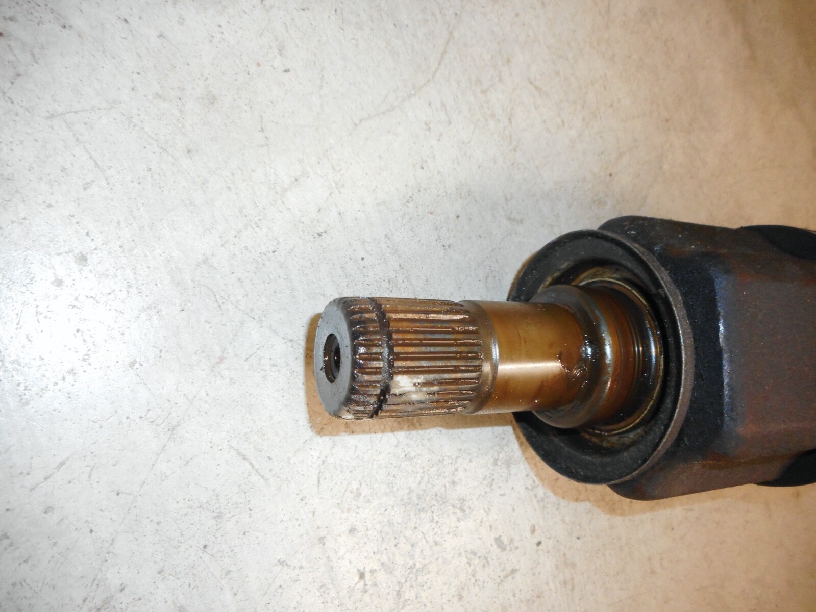 Picture 5 of 8