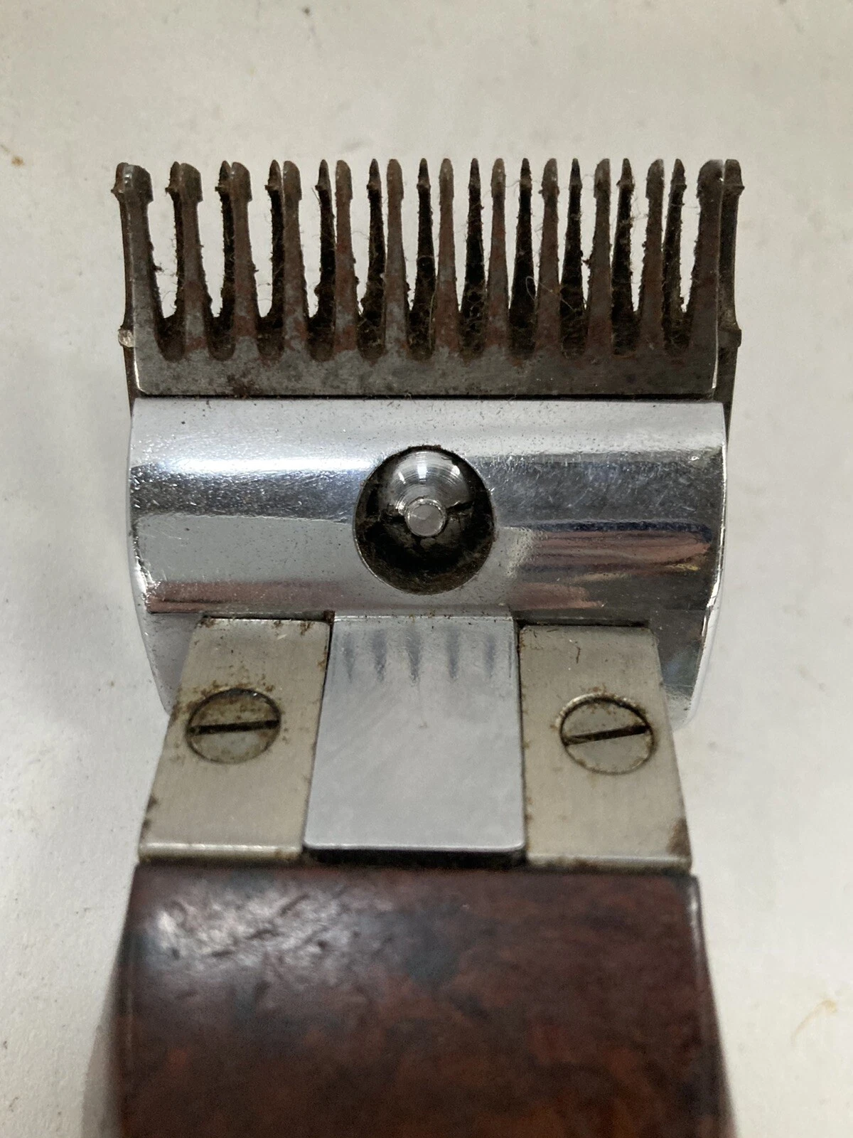 Picture 5 of 10