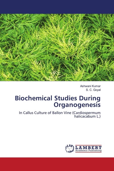 Ashwani Kumar (U. A.) | Biochemical Studies During Organogenesis | Taschenbuch-image